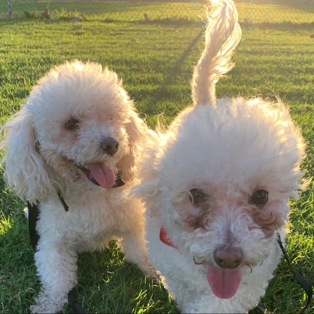 Meet your Posher, Vale